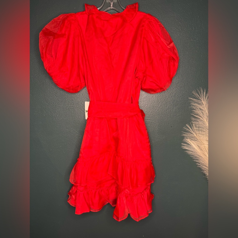Show Me Your MuMu Red Ruffled Mini Dress - Picture 3 of 10